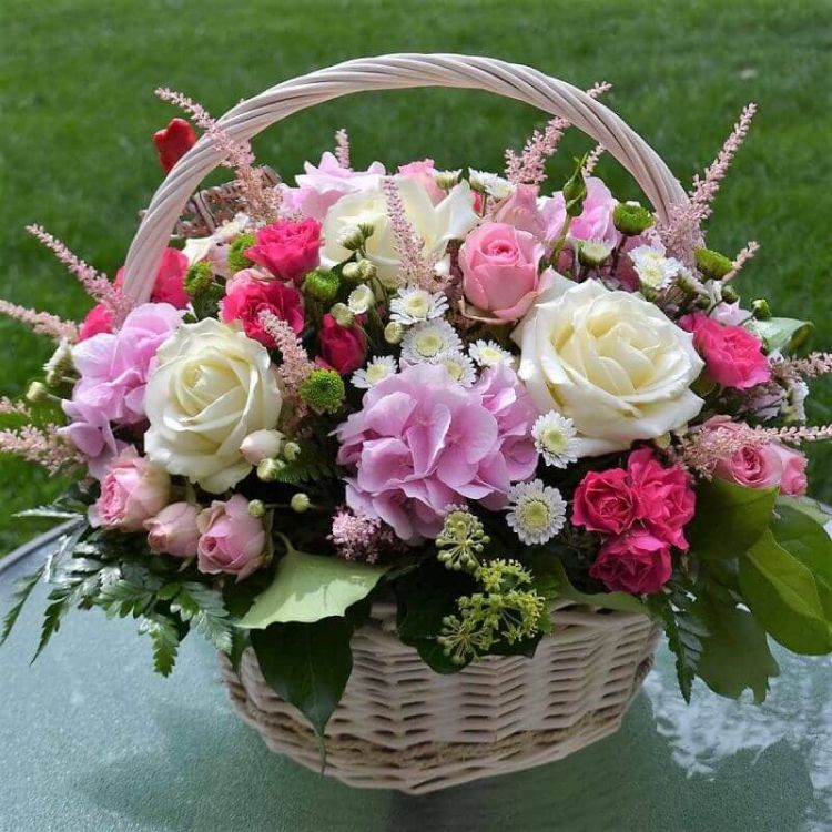 Принцесса от 13 990 руб.